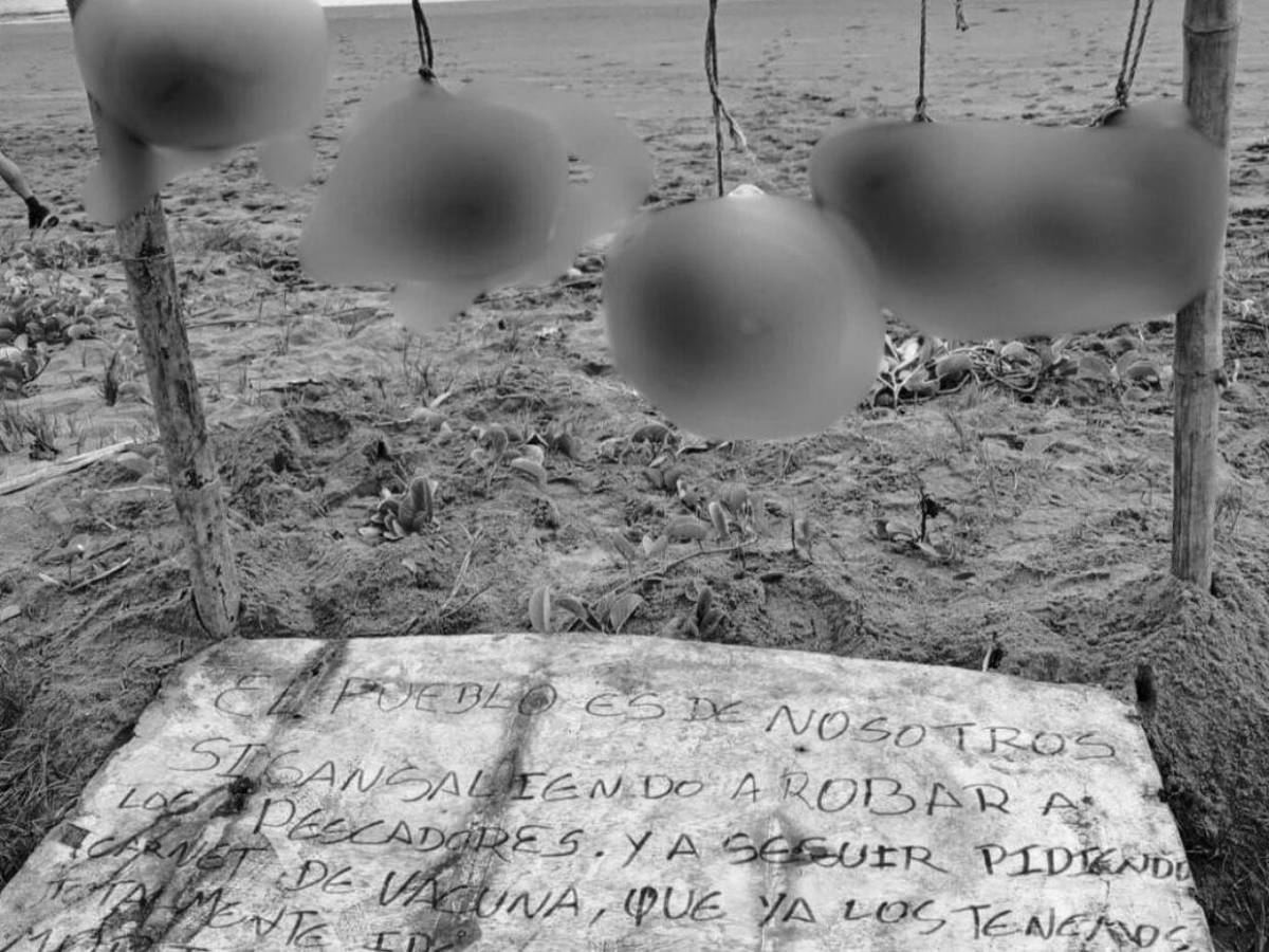 Hallan cinco cabezas humanas colgadas en playa de Ecuador: identifican víctimas