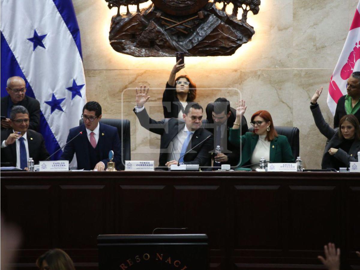 ¿Cuáles son las amnistías aprobadas por el Congreso y en qué consiste cada una?