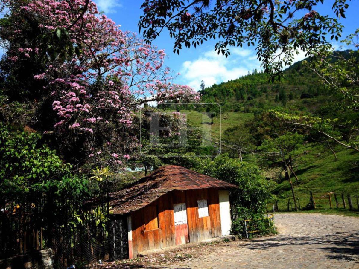 San Juancito: el pueblo minero que modernizó Honduras y hoy busca renacer