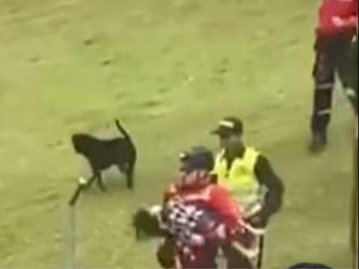 Silvana Torres, la joven que asesinó a su hija de dos años en Colombia