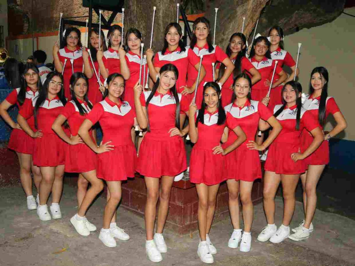 ¿Cómo está integrado el cuadro de palillonas del Liceo San Juan para los desfiles 2025?