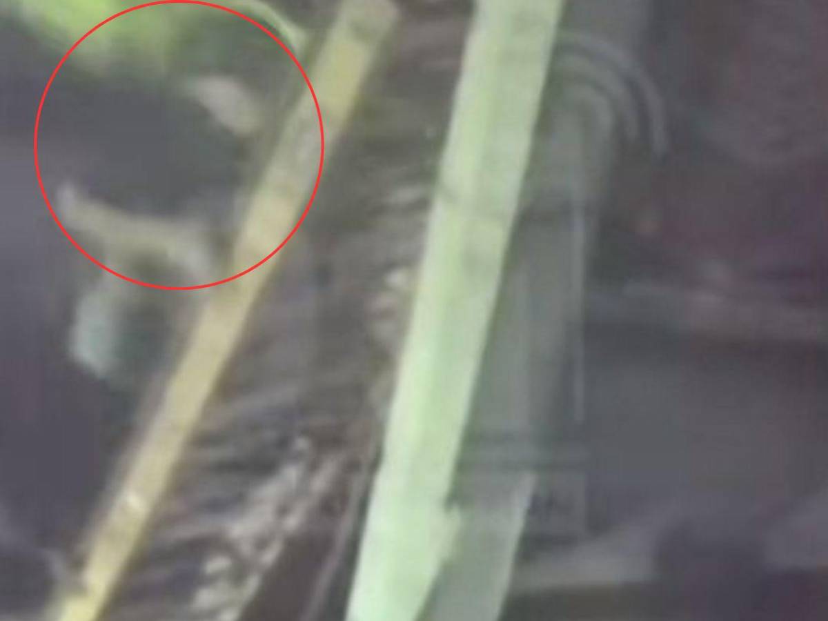 Cuadro a cuadro: Así fue como sujetos dañaron cámaras del 911 en Sipile; uno fue capturado