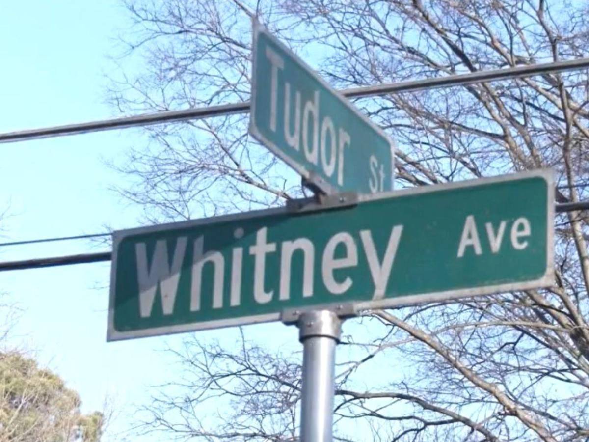 Pitbull dispara un arma por accidente contra su dueño en Memphis, Estados Unidos