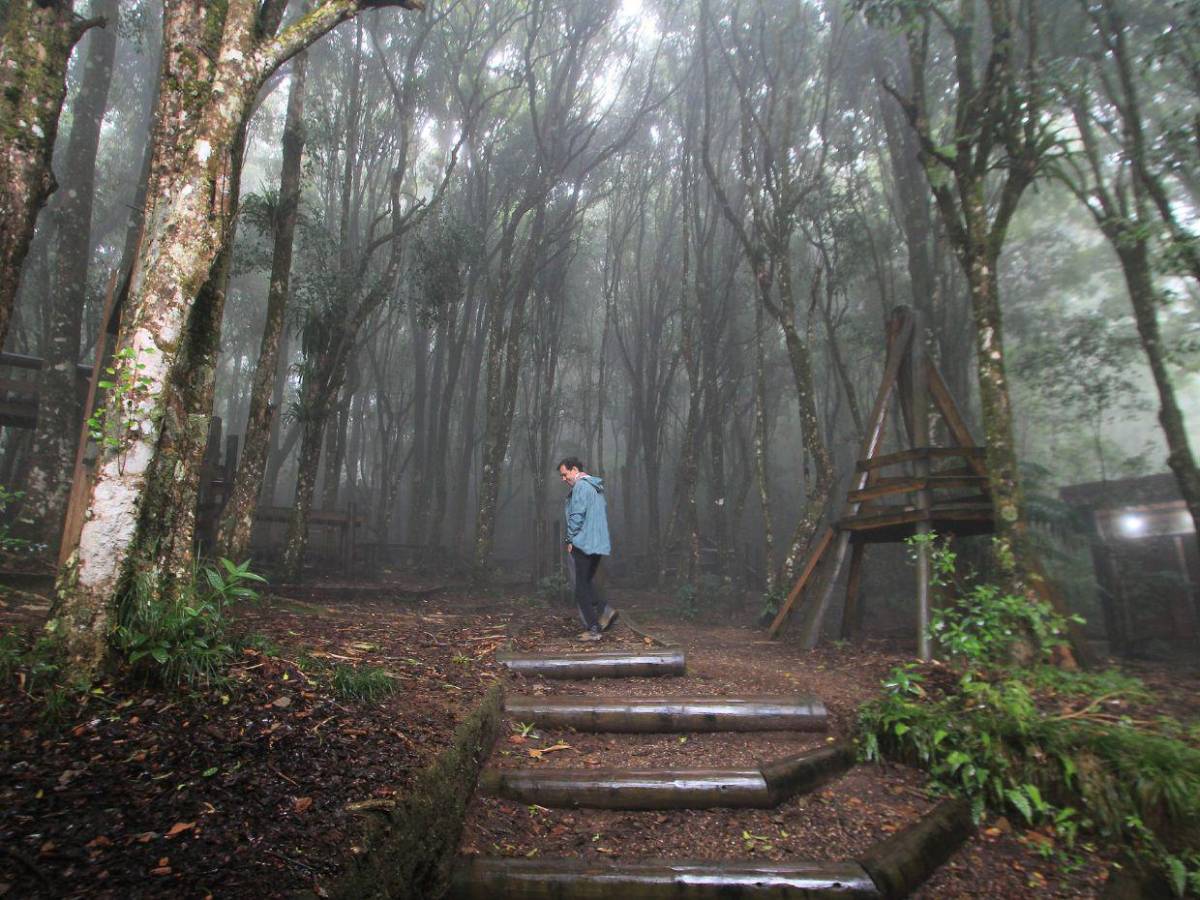 Turismo de montaña en La Tigra: Así se vive una escapada entre la naturaleza y neblina
