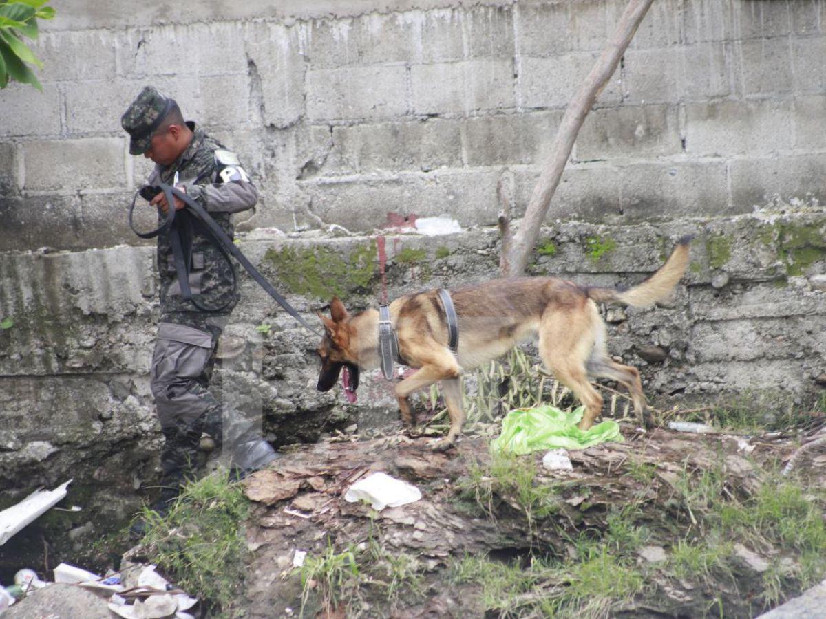 Hallan pertenencias de Kevin Pérez y revelan presencia de cocodrilo en la zona donde buscan a Eliú