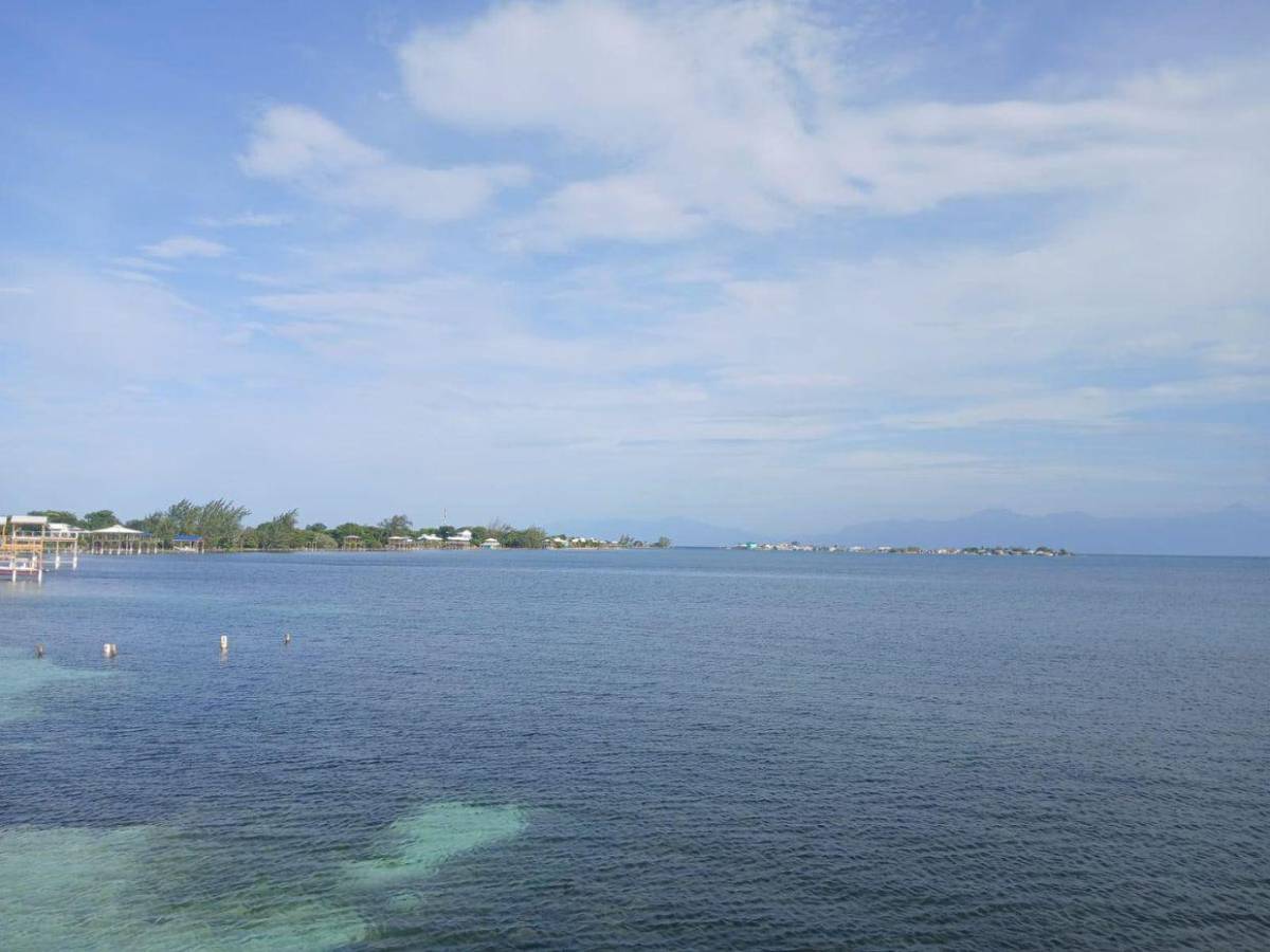 Sin rastro de Nigel y sigue la búsqueda: lo último del pescador desaparecido entre Utila y Roatán