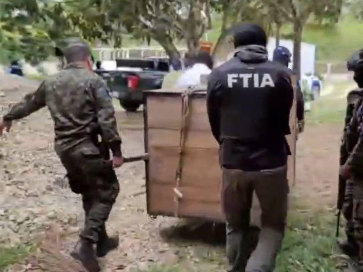 Así fue el rescate de jaguar y otras especies exóticas en cautiverio en Olancho