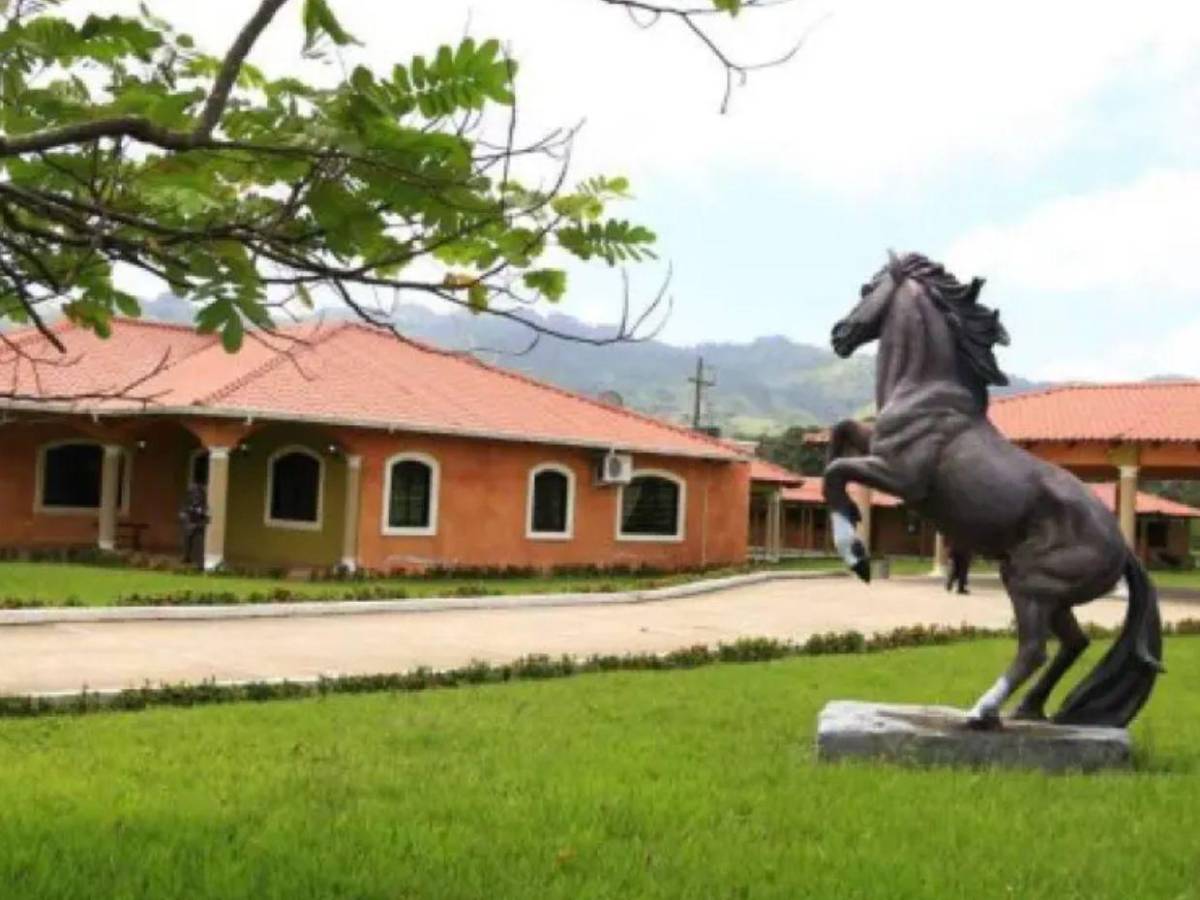 Mansiones y estatuas exóticas: Los lujos de Yosary y su familia en el cártel de los Valle Valle