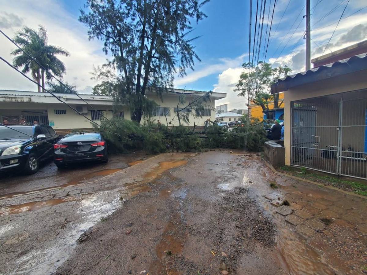 Primeras imágenes de los destrozos que dejó hora y media de lluvia en Tegucigalpa