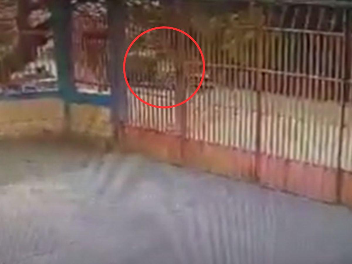 Cuadro a cuadro: cámara capta el momento en que Kellin Flores es arrollada por un camión cisterna