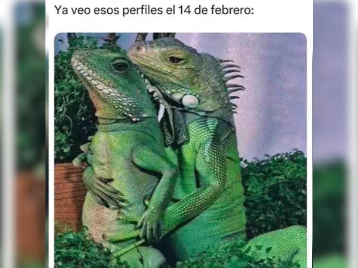 Los mejores memes del Día de San Valentín: de soldados caídos a romances prohibidos
