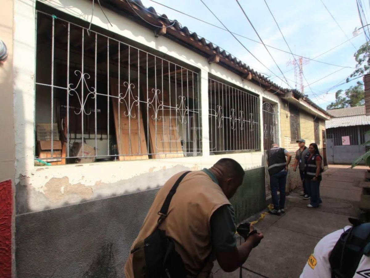 ¡No será sacrificado! Zeus, pitbull que mató a su dueño, irá a un refugio