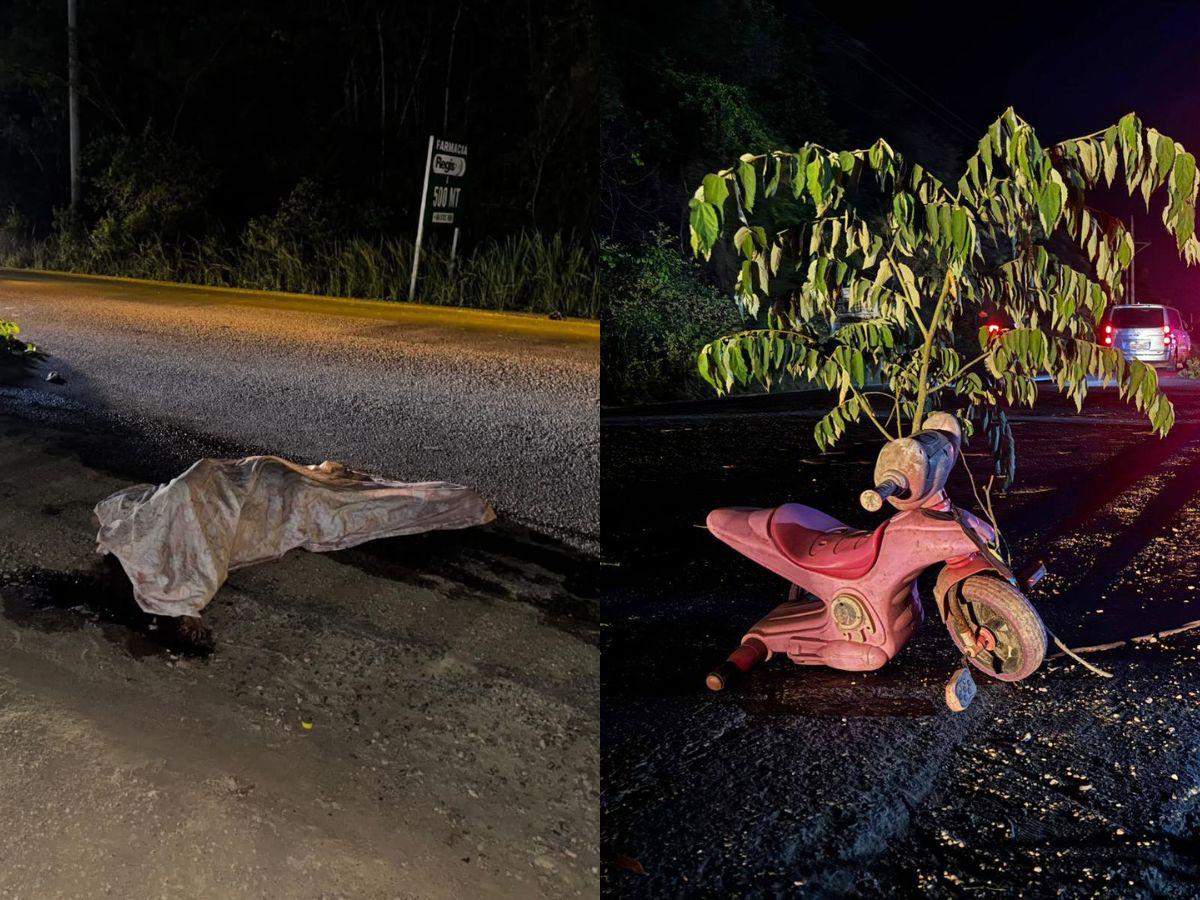 La pequeña Sofía fue atropellada junto a su madre: vendían elotes y el responsable se dio a la fuga