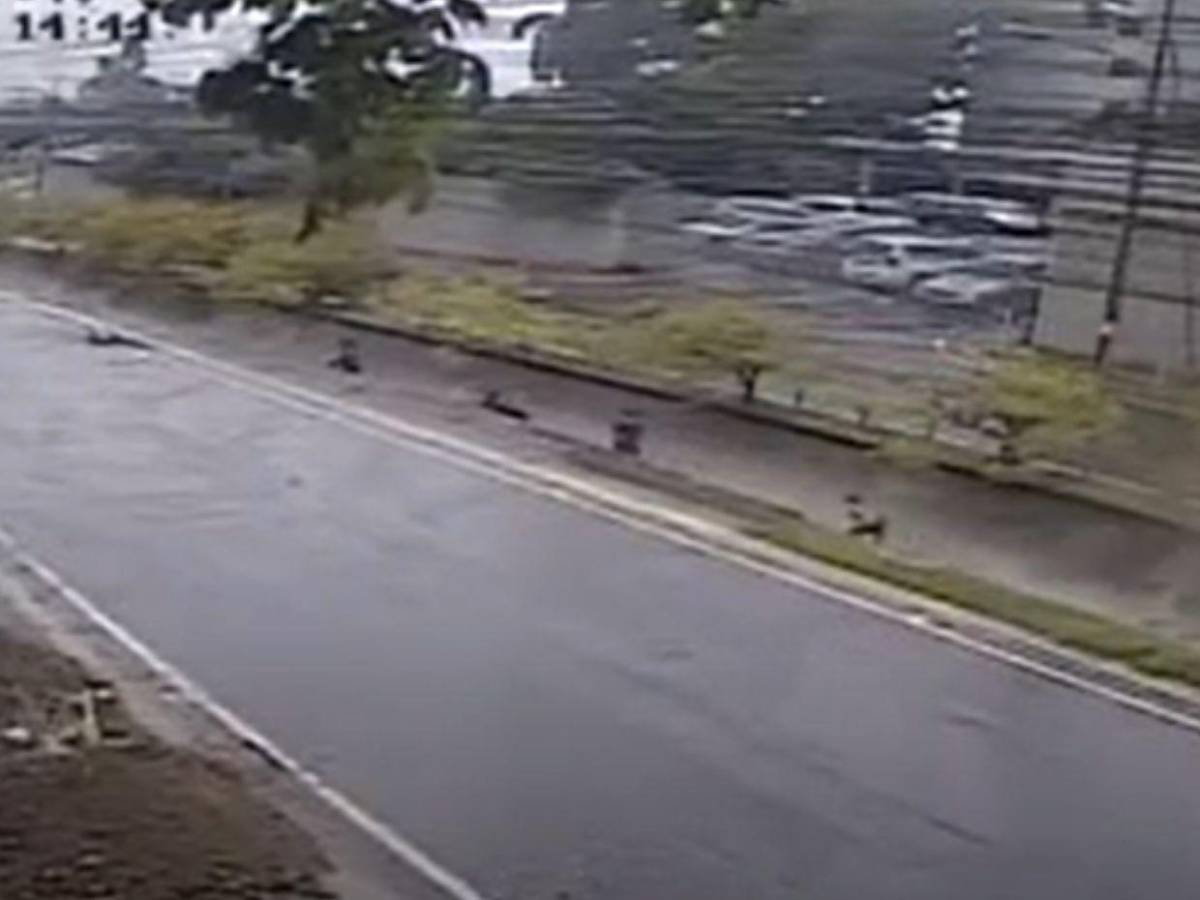 Cuadro a cuadro: cámaras captaron a Elvis Eliú Bautista jugando en la quebrada La Primavera