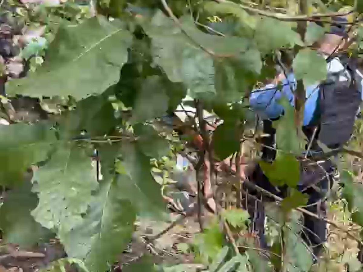 Desnudo y rodeado de basura: así hallaron a uno de los jóvenes desaparecido en Mateo