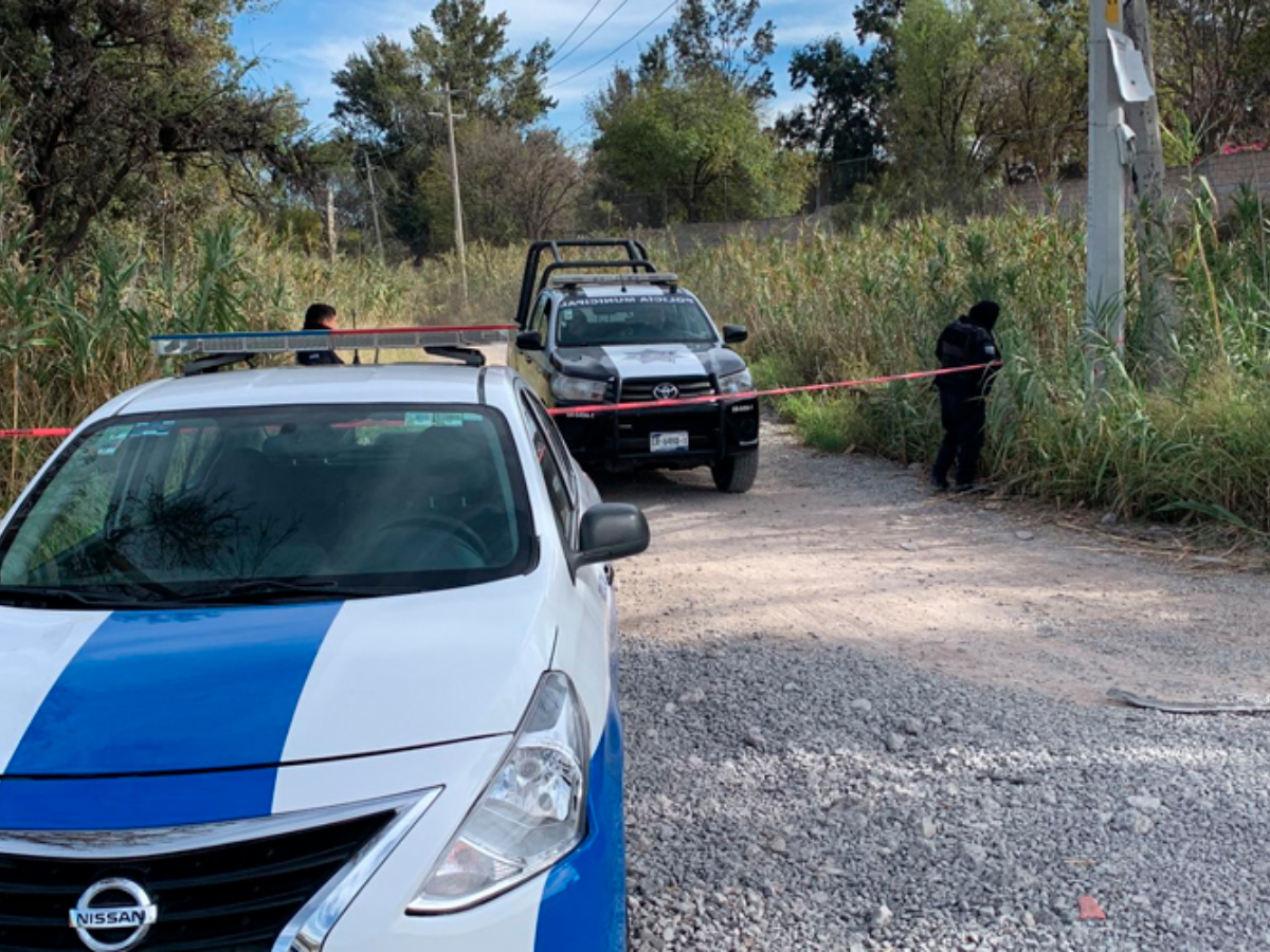 Encuentran nueve cadáveres cerca de ducto de gasolina en México