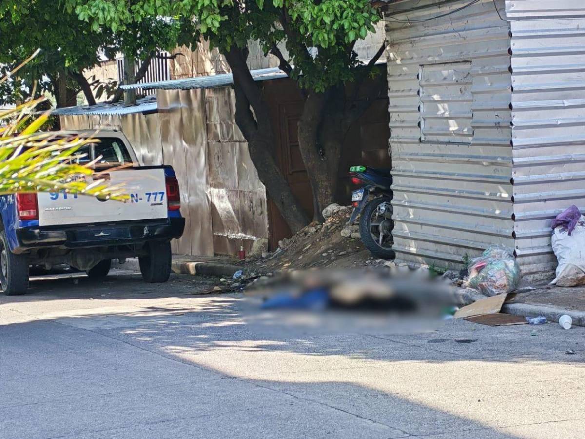 Tenía rastros de cuero cabelludo de su agresor en sus manos: detalles del crimen en el barrio Perpetuo Socorro