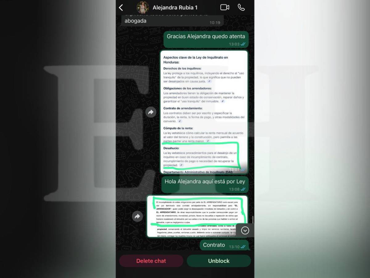 Las pruebas y documentos de la polémica entre Alejandra Rubio y agente inmobiliaria