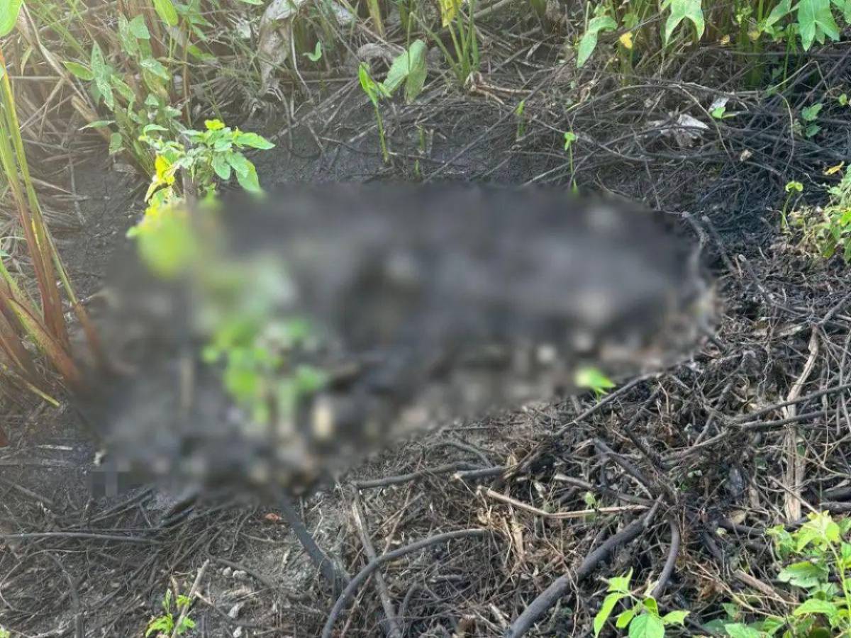 Más de un mes para identificarla: Familiares reciben cuerpo de Yorleni, joven raptada y carbonizada en Cortés
