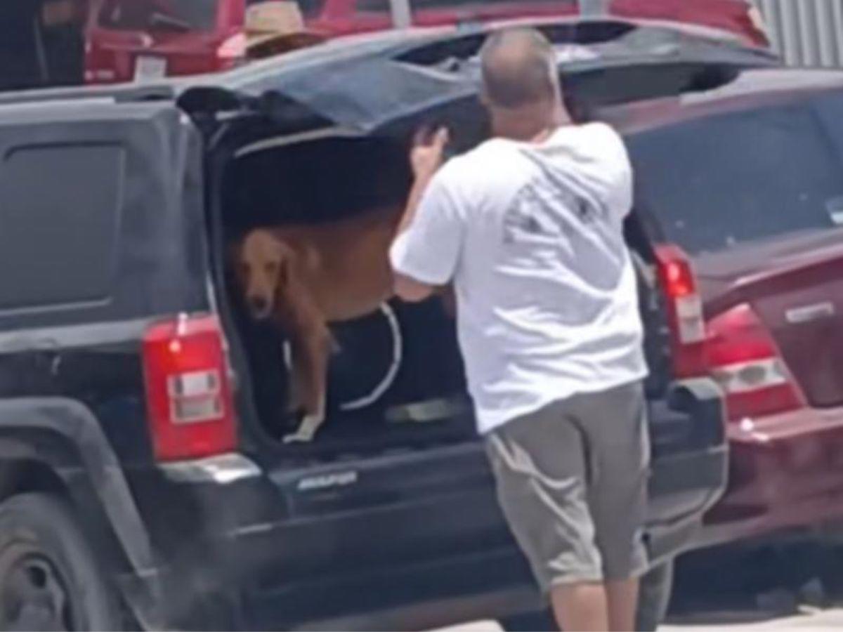 No hallaron lesiones: Hombre que arrastró a perro con su carro en Choloma queda en libertad