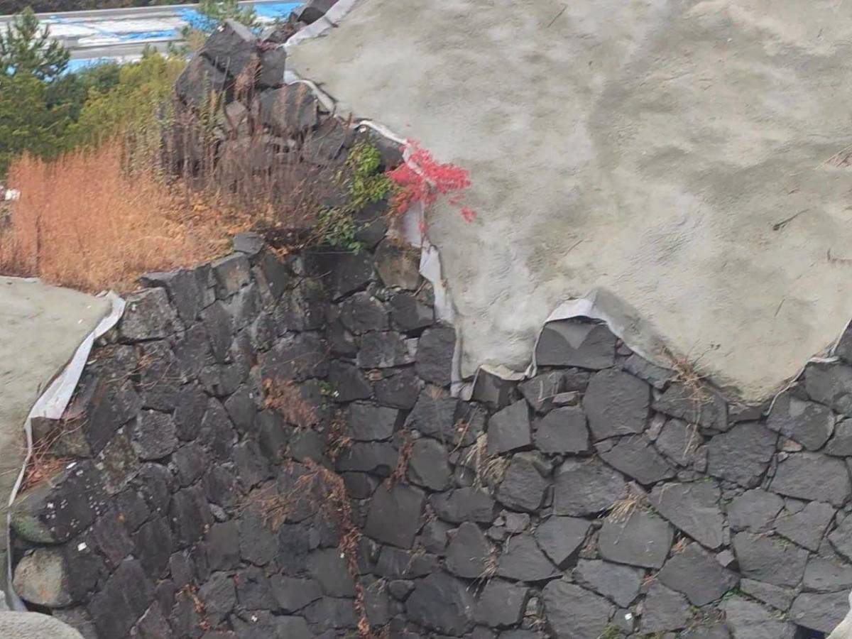 Derrumbes, carreteras dañadas y personas atrapadas: caos tras sismo en Japón