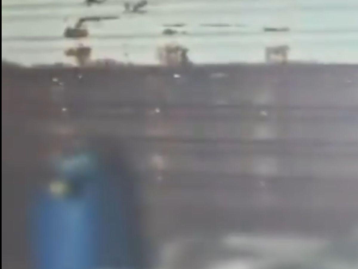 Hallan cadáver de un hombre mientras buscaban el barco desaparecido Lucky Lady: ¿era un tripulante?