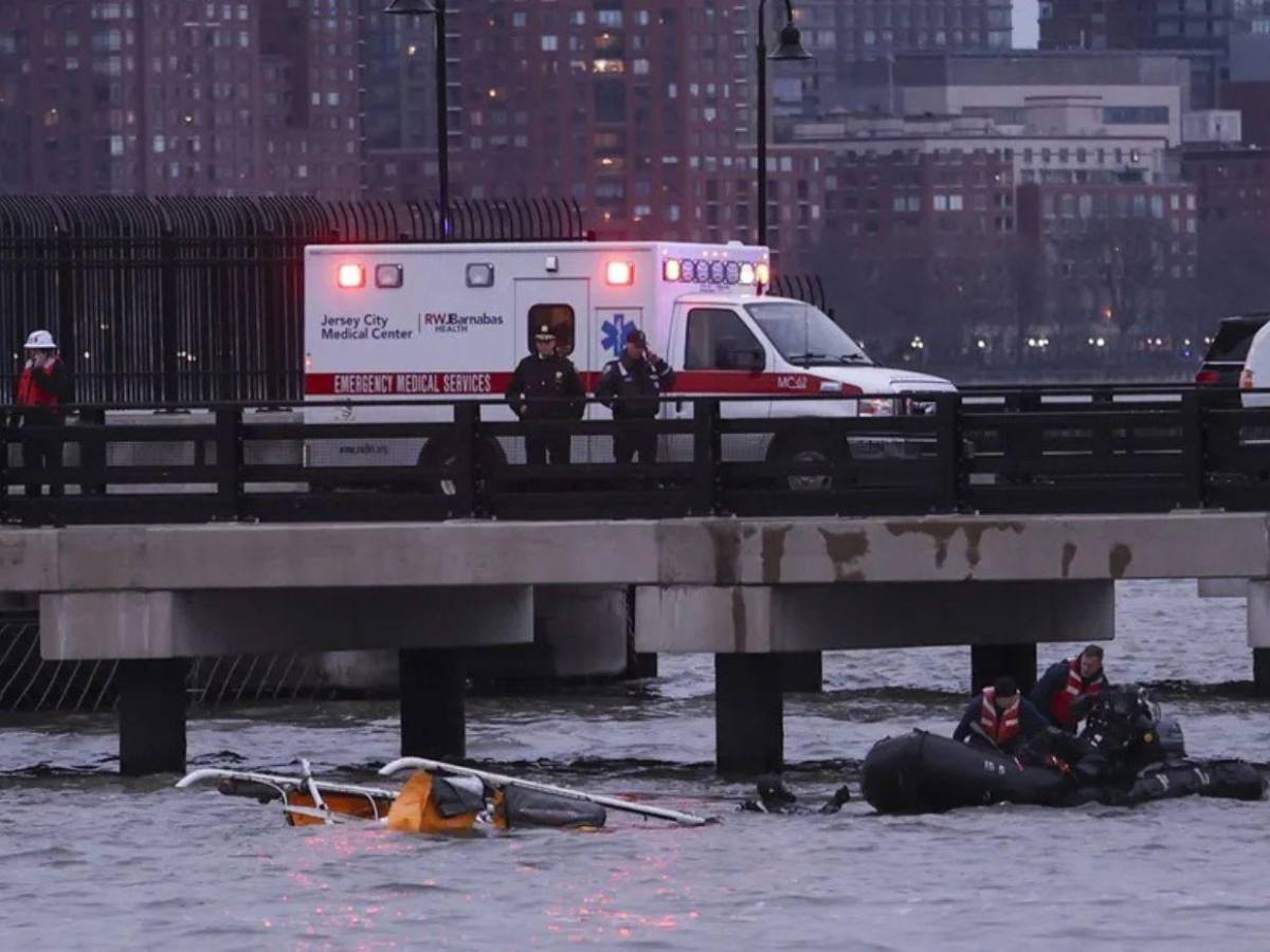 Teorías sobre el accidente aéreo en Nueva York: aves, drones o fallo de motor Teorías sobre el accidente aéreo en Nueva York: aves, drones o fallo de motor