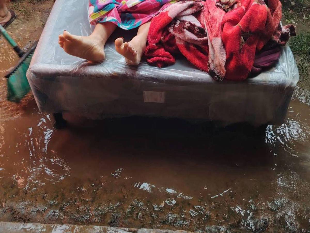 Rosa Cárcamo fue acuchillada por su sobrino tras robarle el dinero de su negocio; era madre