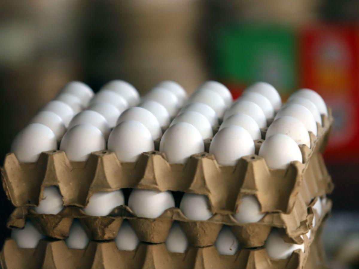 El cartón de huevo no deberá sobrepasar los 132 lempiras, en caso de hacerlo, el vendedor será sancionado.