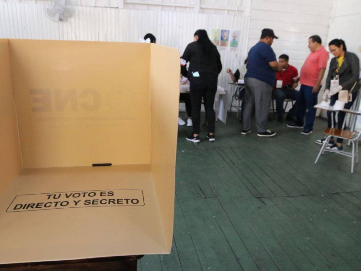 Electores, activistas enérgicos y seguridad: ambiente en proceso electoral