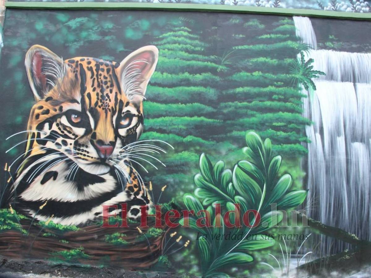 La historia de Comayagua pintada en murales en el centro histórico