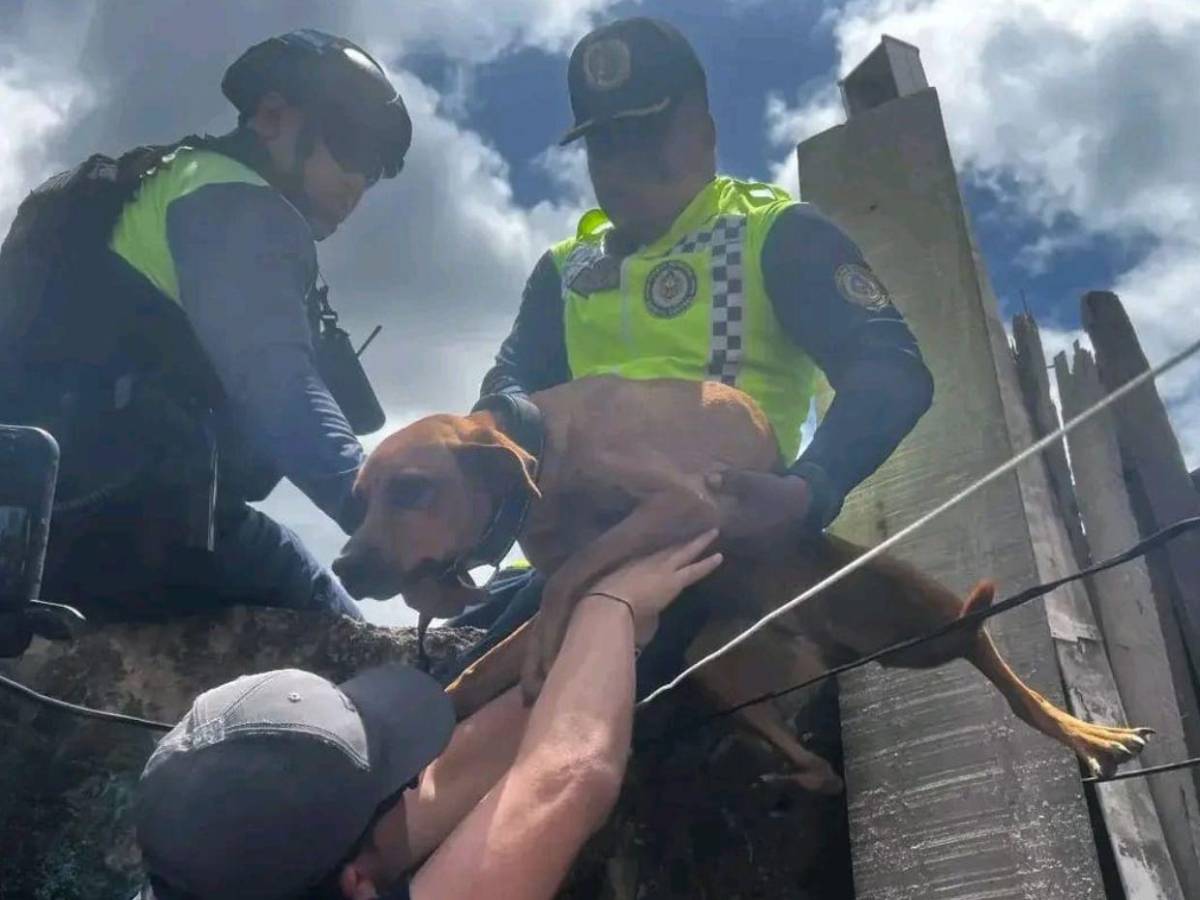 Josué Esperanza: el policía municipal que conmovió a Honduras en el Caso Zeus​​​​