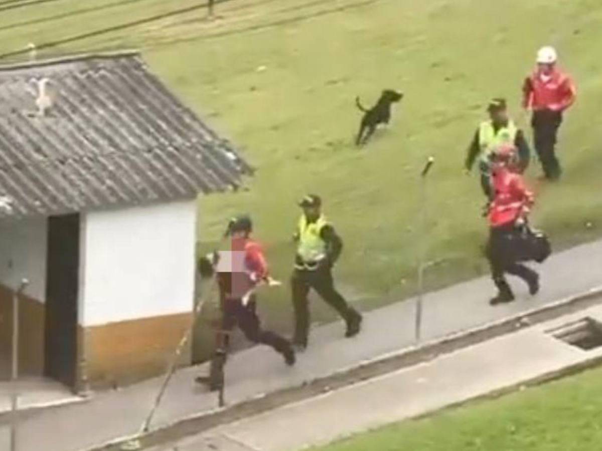 Silvana Torres, la joven que asesinó a su hija de dos años en Colombia