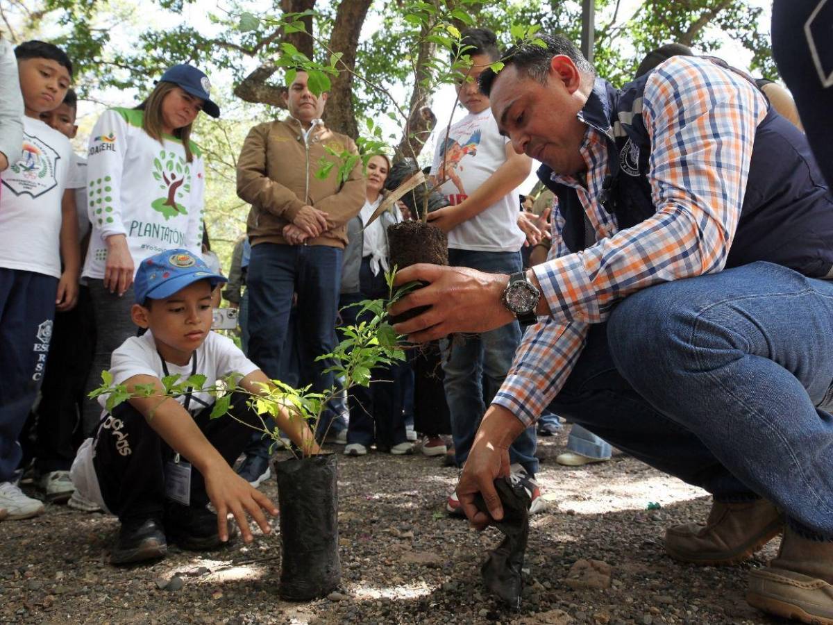 Amor por la naturaleza: Líderes ecológicos reforestaron el parque Juana Laínez