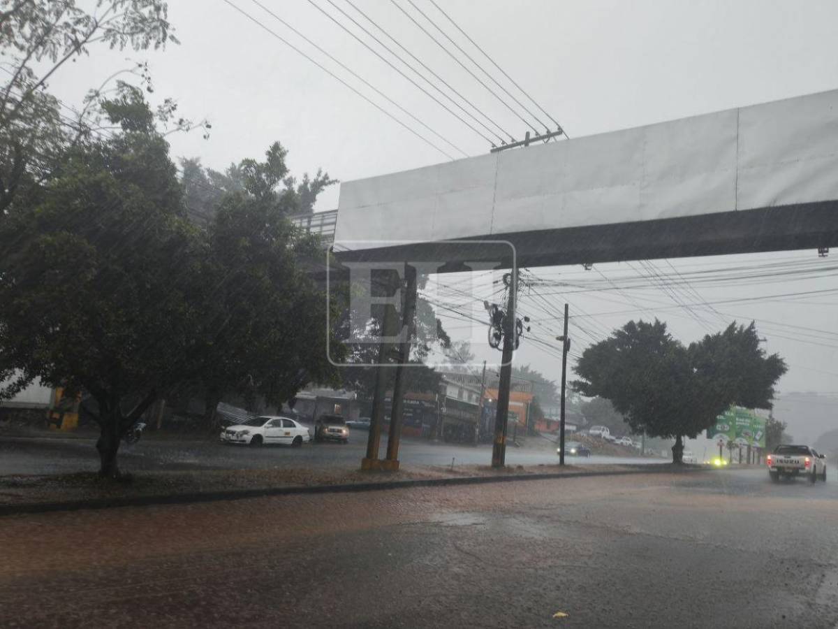 Tormentas eléctricas por onda tropical: zonas que deben tomar medidas por fuertes lluvias este domingo