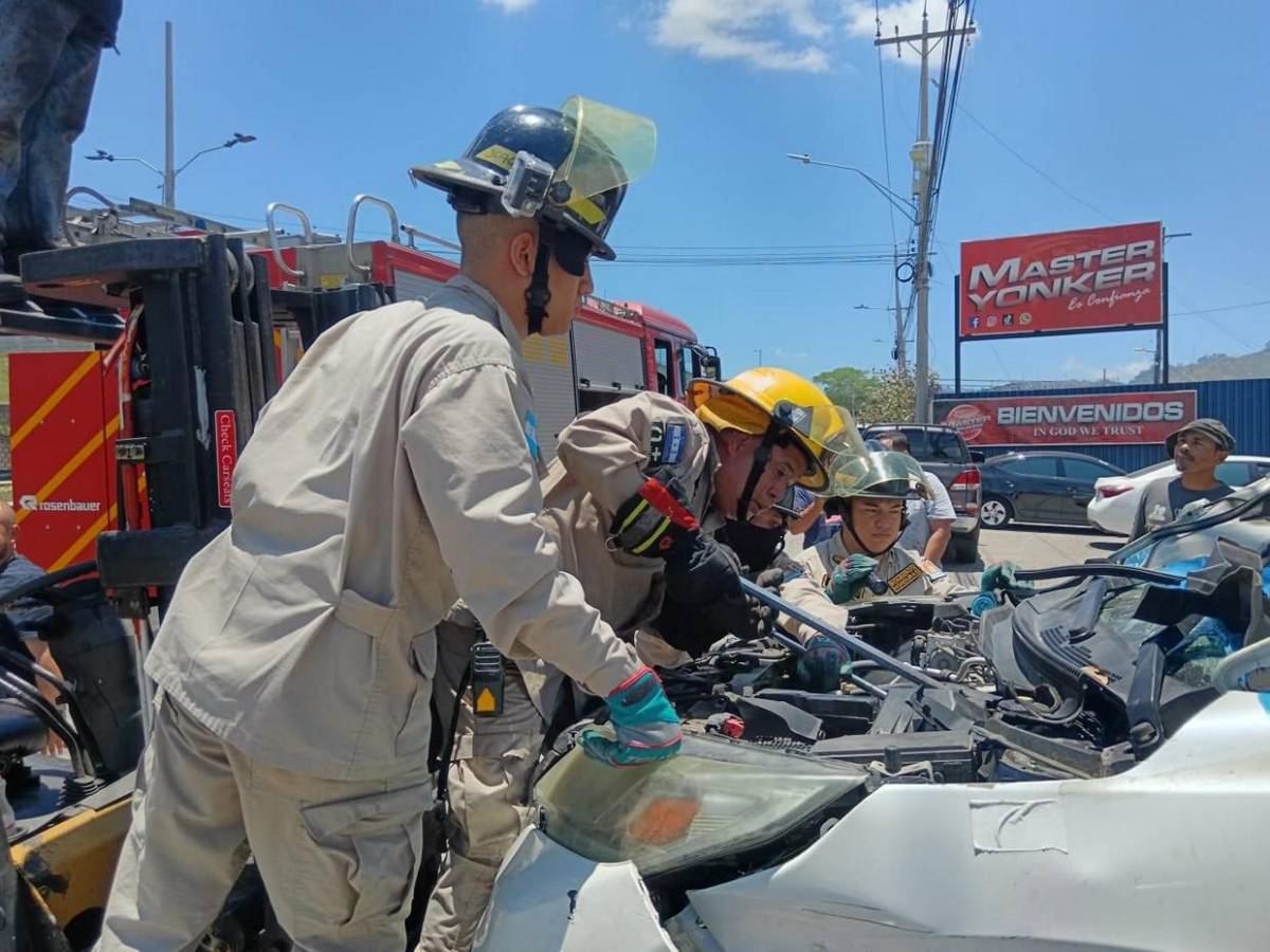 Mecánico pensó que era una manguera: hallan enorme boa dentro de motor en El Carrizal