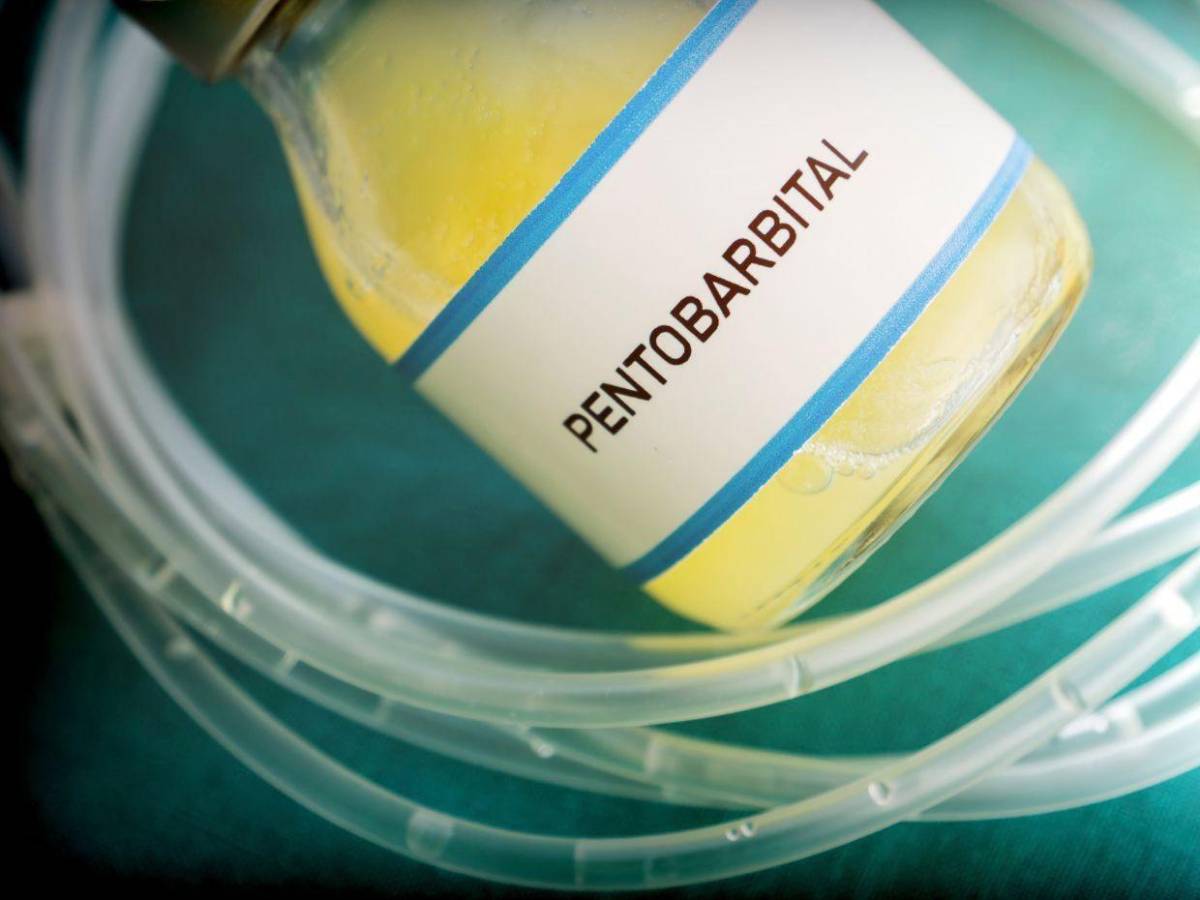 Pentobarbital, el fármaco que falló en la ejecución de Christa Pike: ¿qué efecto tiene en el cuerpo?