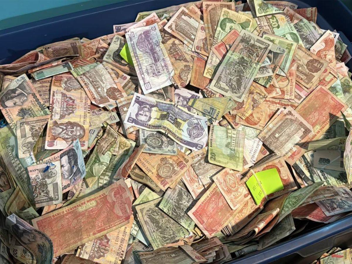 Socios de Koriun que no recuperen su dinero tendrán respaldo del gobierno: hay excepciones