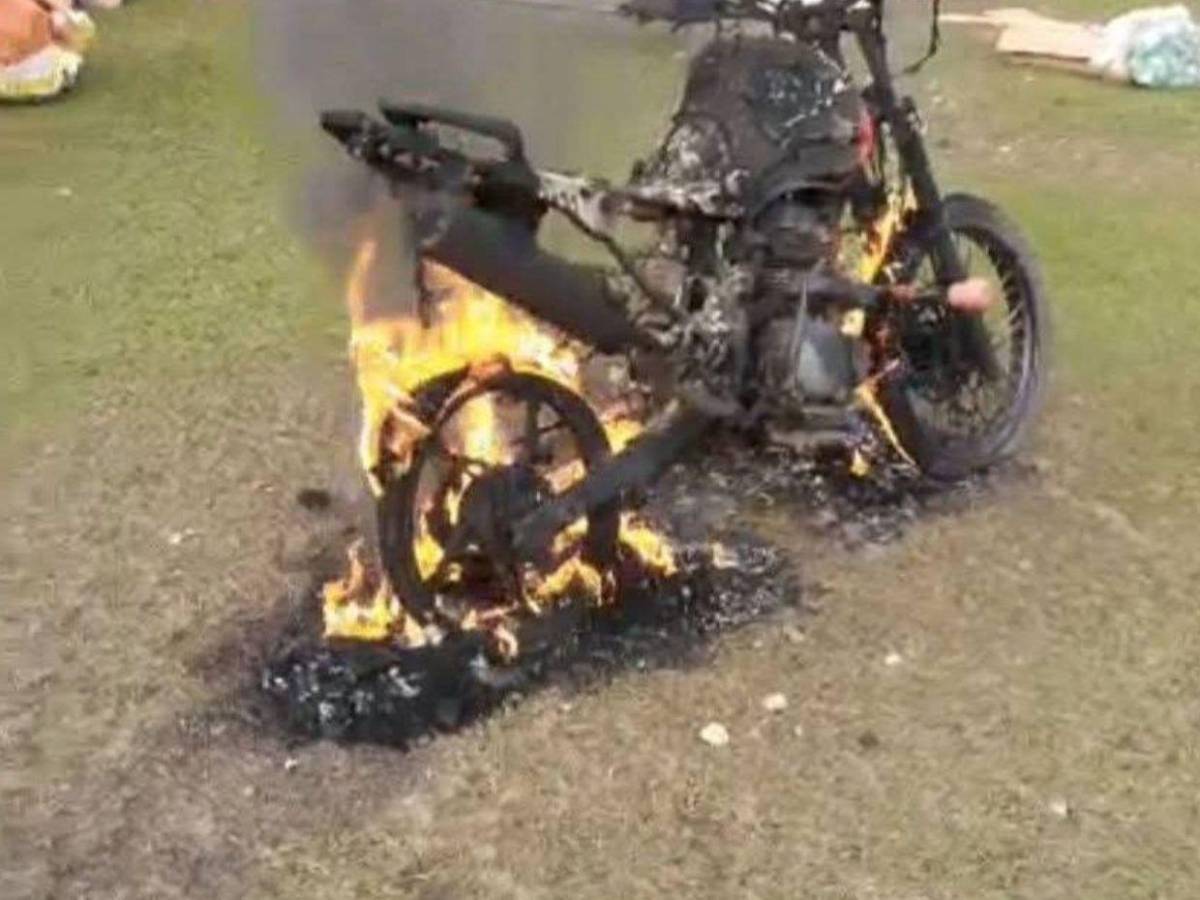 Quemaron la casa y mataron hasta sus animales: caso de los hermanos Alvarado Flores