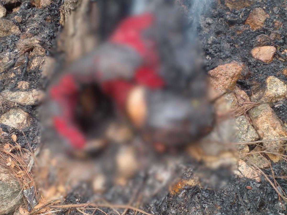 Entre las víctimas hay una mujer: revelan detalles de los tres cuerpos carbonizados en El Cimarrón