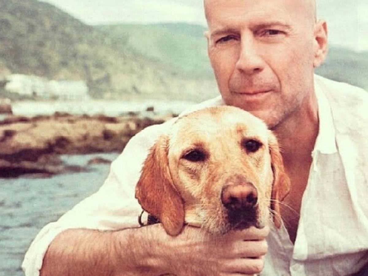 Bruce Willis y su lucha contra la demencia frontotemporal: Un legado eterno a los 70 años