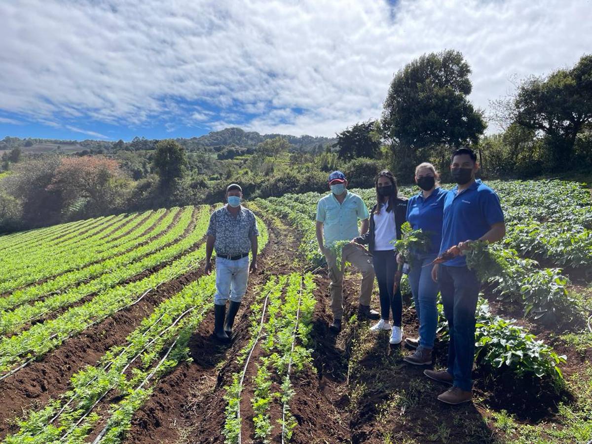 Con el programa “De Mi Tierra” han beneficiado a 100 comunidades en 12 departamentos de Honduras.
