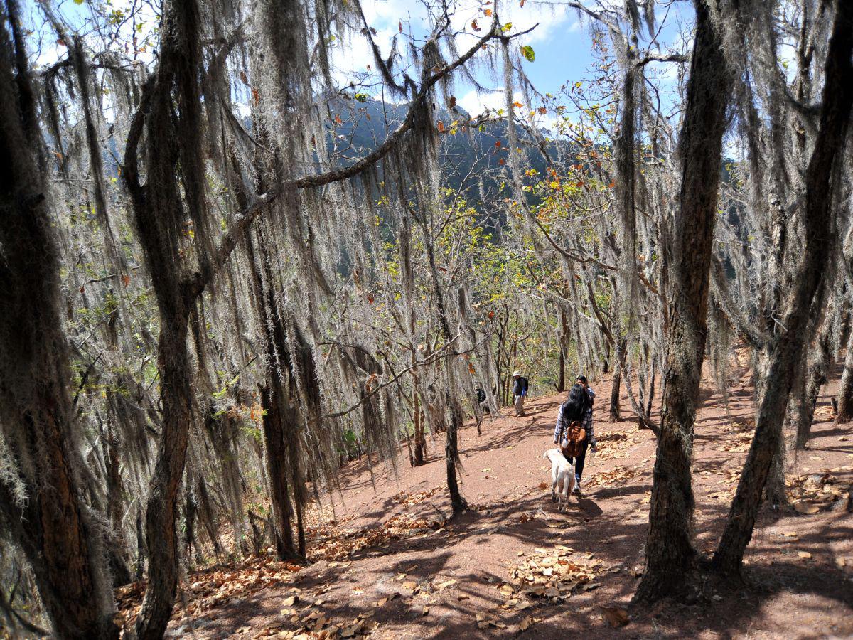 Triquilapa, lugar de ensueño cerca de la capital donde se respira nuevos aires