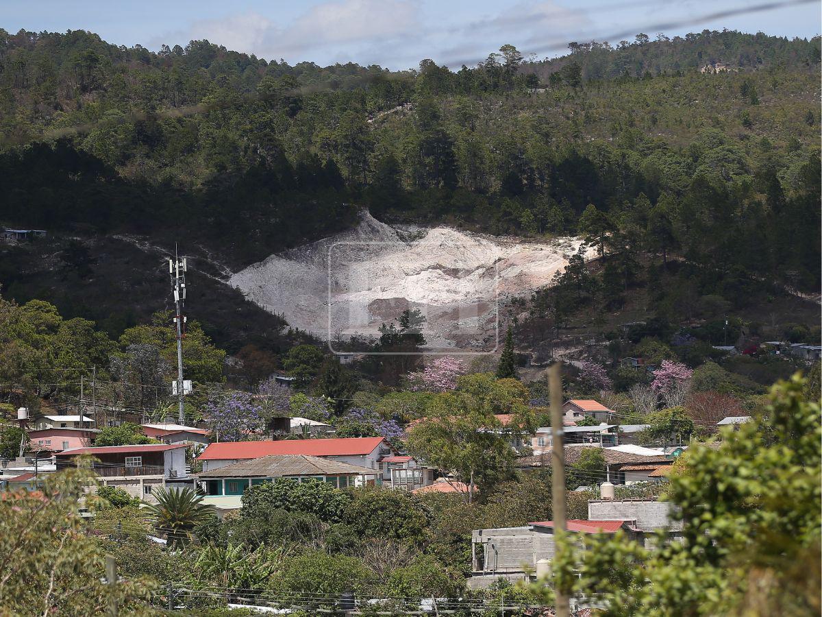 Honduras pierdió 900 mil hectáreas de bosque: Lepaterique entre las zonas más afectadas
