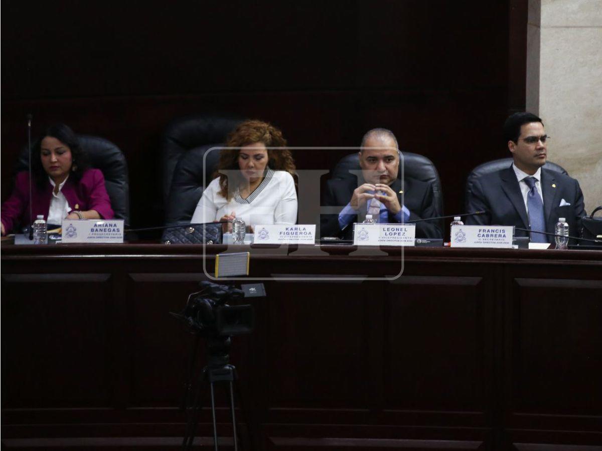 ¿Cuáles son las amnistías aprobadas por el Congreso y en qué consiste cada una?