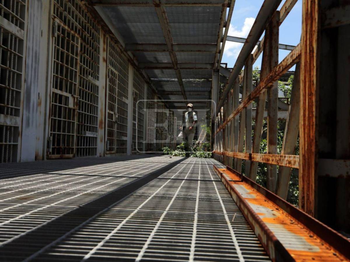 Óxido y olvido: un recorrido por los módulos de la cárcel de Naco