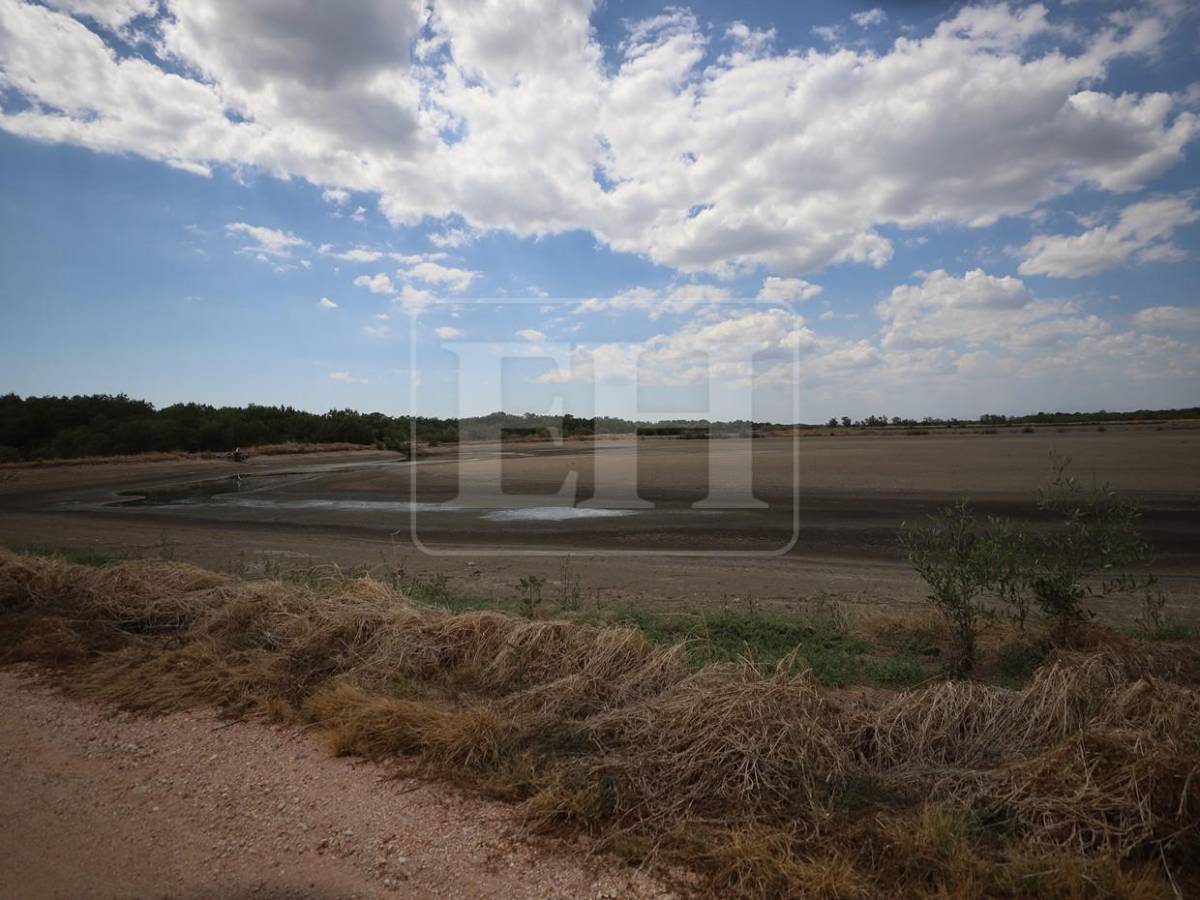 Sin trabajo, sin futuro: crisis en camaroneras golpea a familias en el sur de Honduras