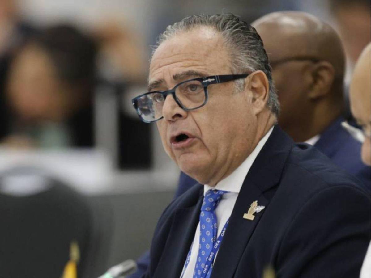 ¿Quién es Carlos Bernardo Cherniak, embajador que cuestionó a Marlon Ochoa en la OEA?