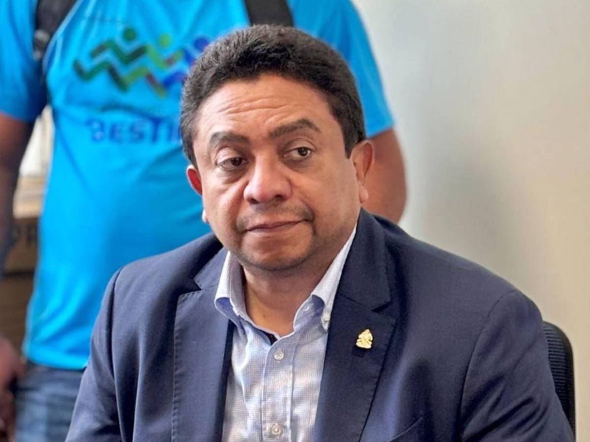 Abogados y diputados: ¿Quiénes son los candidatos a magistrados en el TJE?