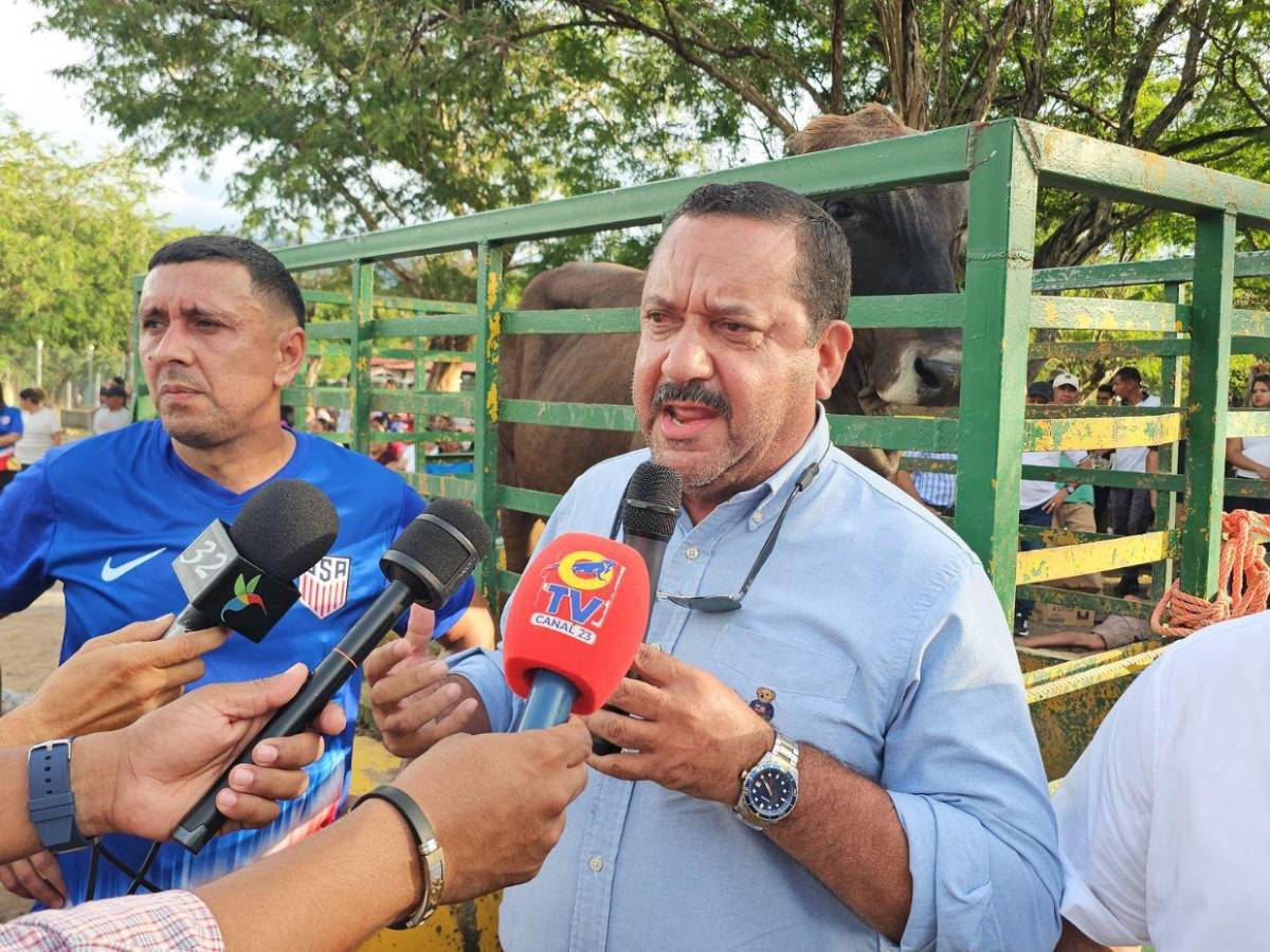 Los diputados con más años en el Congreso y se reeligen en 2025; uno tiene más de 20